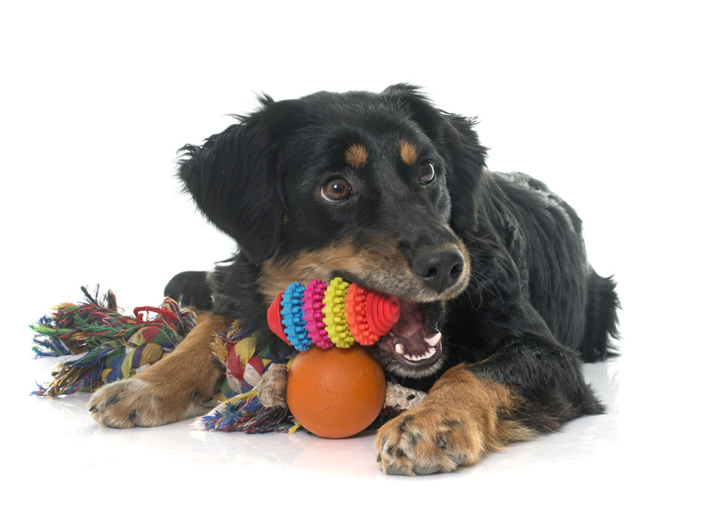 moving house Moving home