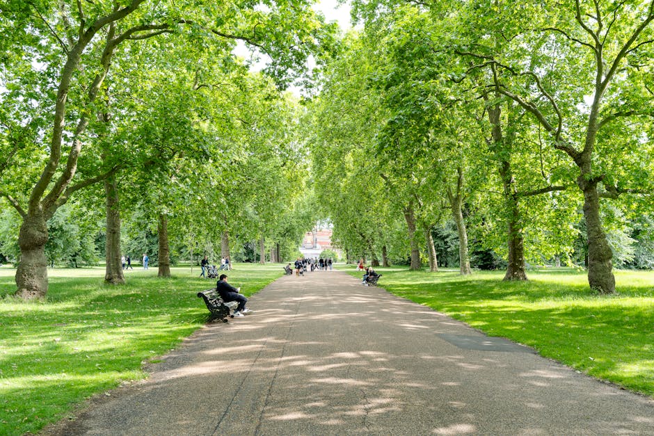 A spacious park area with well-maintained grassy lawns and a variety of mature trees, including some with dark purple foliage, providing shaded areas. Several individuals are seated on benches and the grass, engaging in activities such as relaxing or reading. In the background, a pathway extends across the park, with fewer trees and open green space beyond. The sky above is partly cloudy with patches of blue, creating a bright yet overcast atmosphere. The scene is devoid of any moving vehicles or construction equipment, focusing entirely on the natural outdoor environment. This setting illustrates a typical outdoor area where a house removals company like Man with Van Gidea Park might organise a quick and efficient loading process, possibly with items being transported to a new home during a furniture transport or home relocation. The park's calm environment and open space serve as an ideal location for loading or carrying belongings during a professional move in Gidea Park.